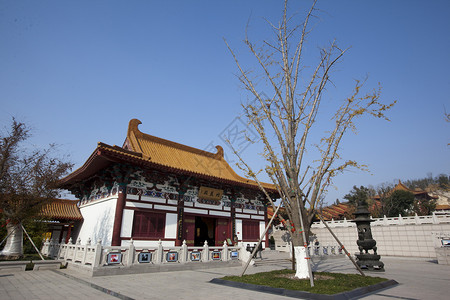 徐州苏宁广场建筑结构架构历史风景绿色宗教旅游植被公园寺庙树木游客背景