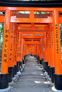 富士米伊纳里塔伊沙神社著名的明亮橙色托里门高清图片