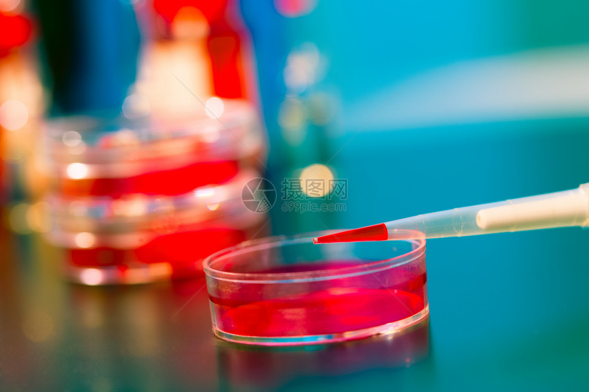 配有红色液体和花粉盘的浸泡液样本生物科学实验室化学实验遗传托盘验血测试图片