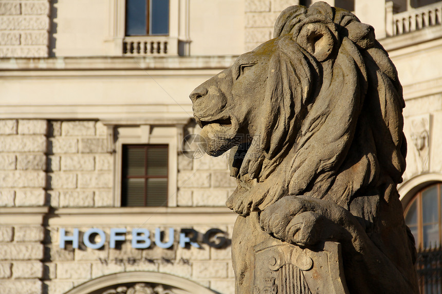 保护维也纳霍夫堡的狮子图片
