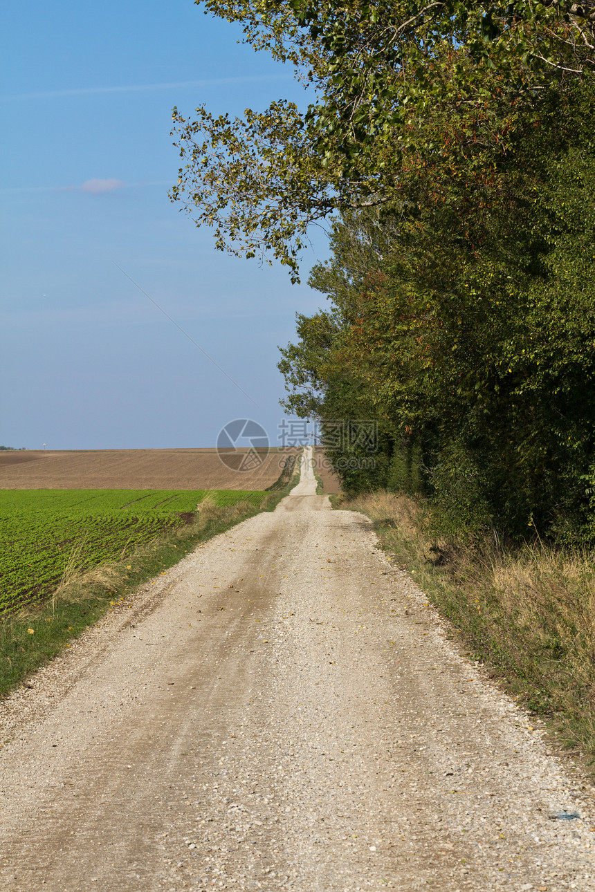 通往无限的秋季道路小路自由蓝色晴天天空国家土地场景旅行地平线图片