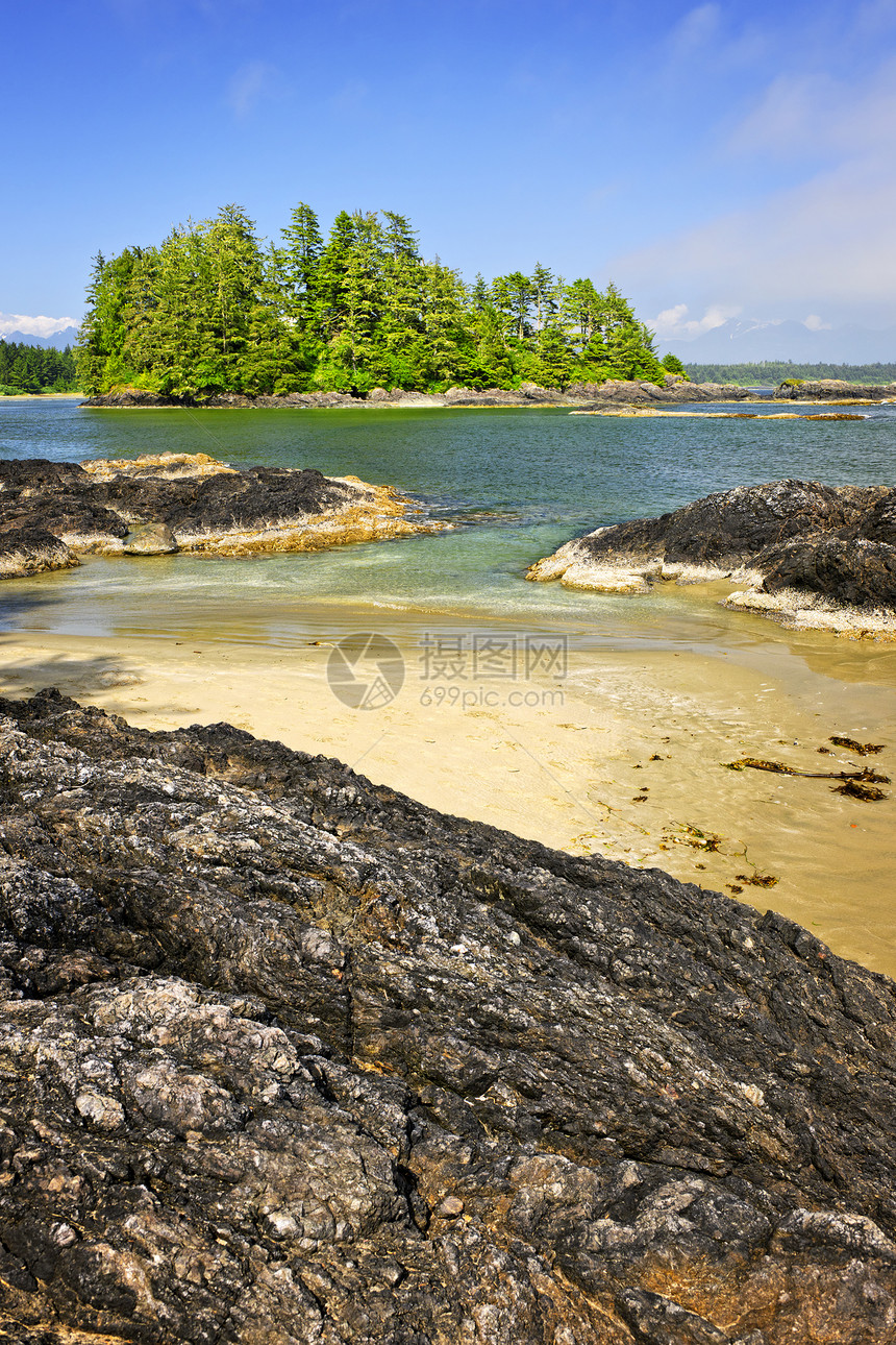 加拿大温哥华岛太平洋海岸 加拿大温哥华风景岩石海岸石头荒野轮缘森林支撑海洋树木图片