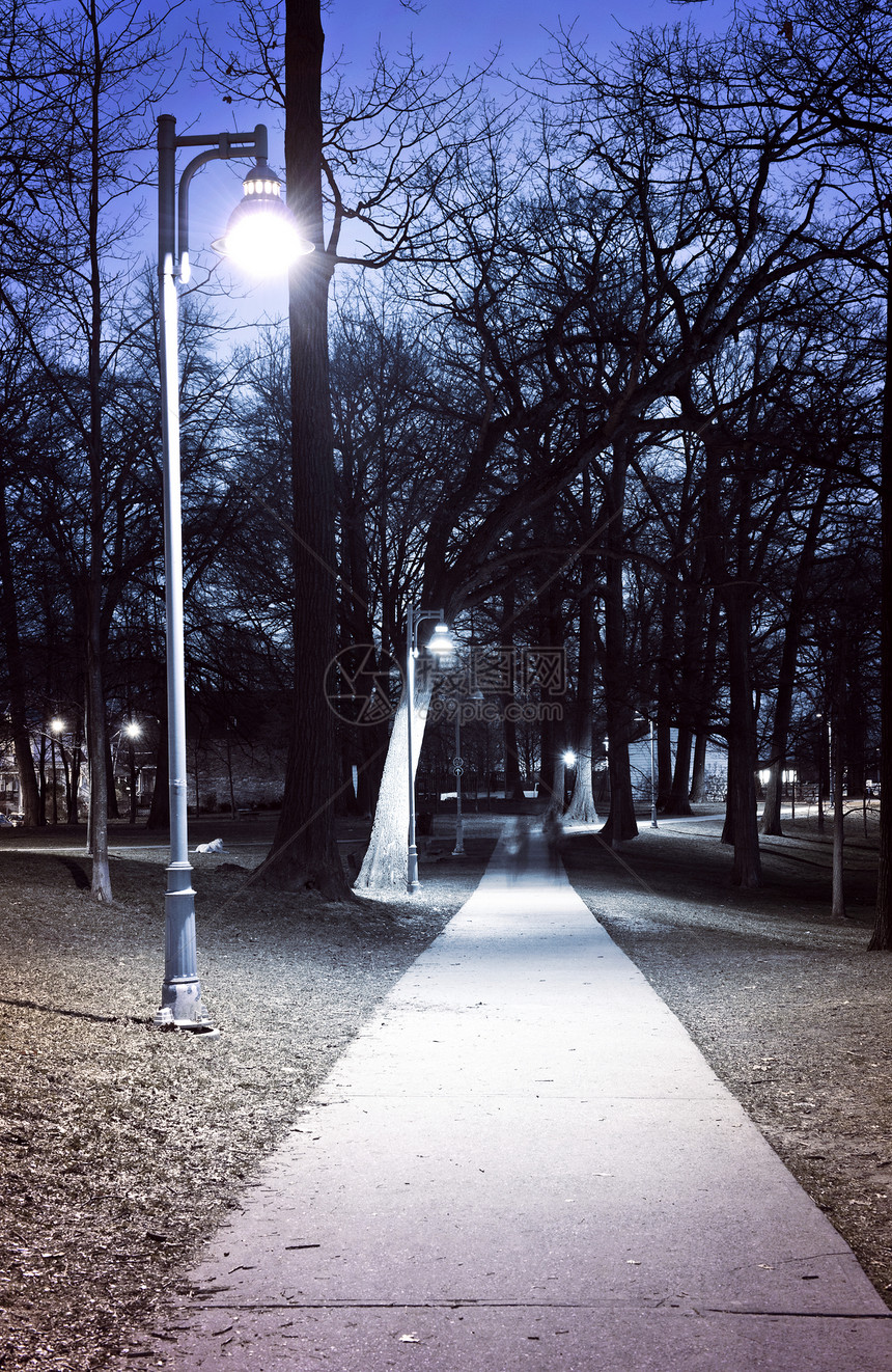 夜间公园通道图片