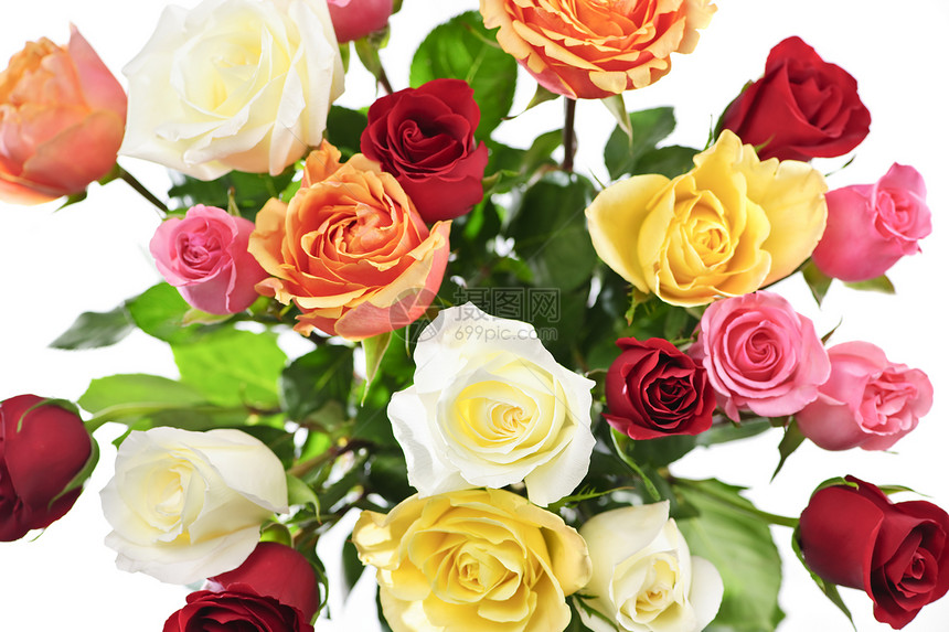 上面的玫瑰花团植物群分支机构树叶花朵荆棘花店花束浪漫图片
