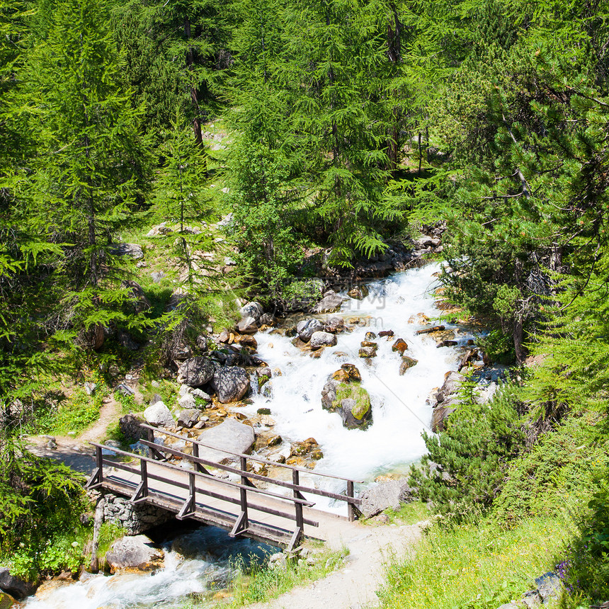 山河上的桥梁人行道风景小路森林叶子环境旅行绿色木头踪迹图片