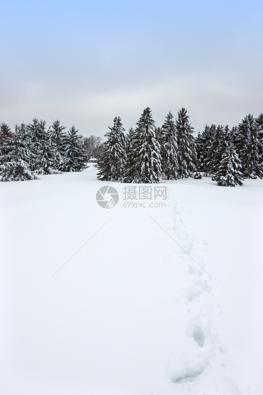 加拿大冬季风景加拿大图片