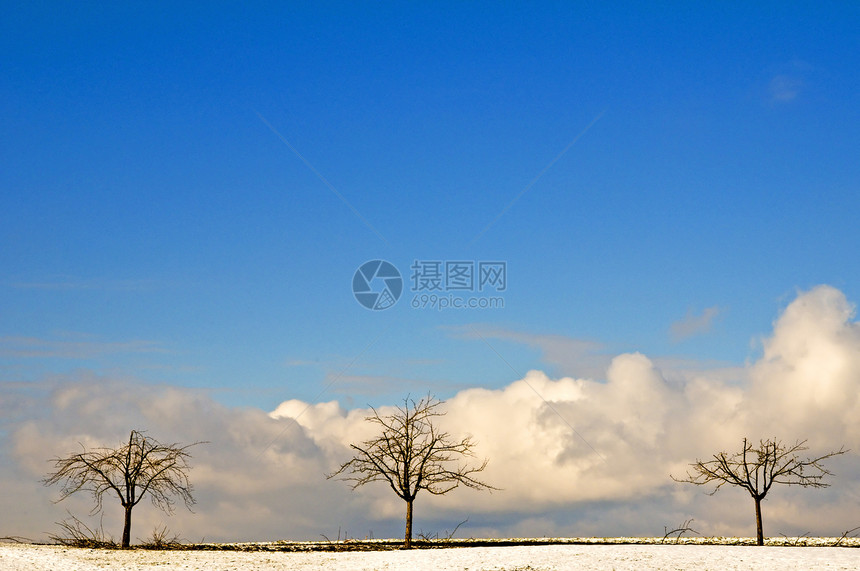 冬季树木天空天气环境场景季节季节性牧歌图片