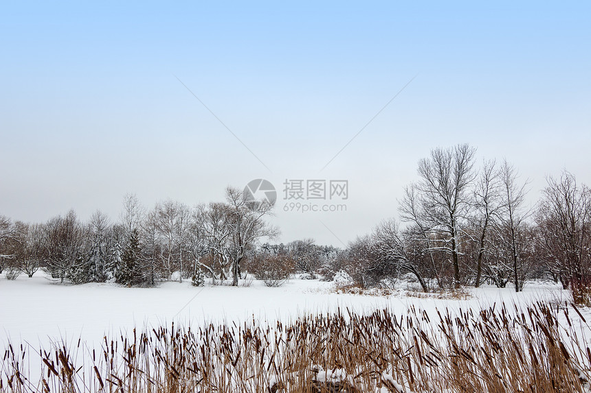 由雪湖生长的里长图片