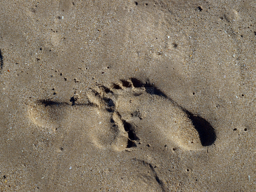 湿沙中脚印旅行海岸闲暇支撑孤独寻找者海滩海洋勘探假期图片