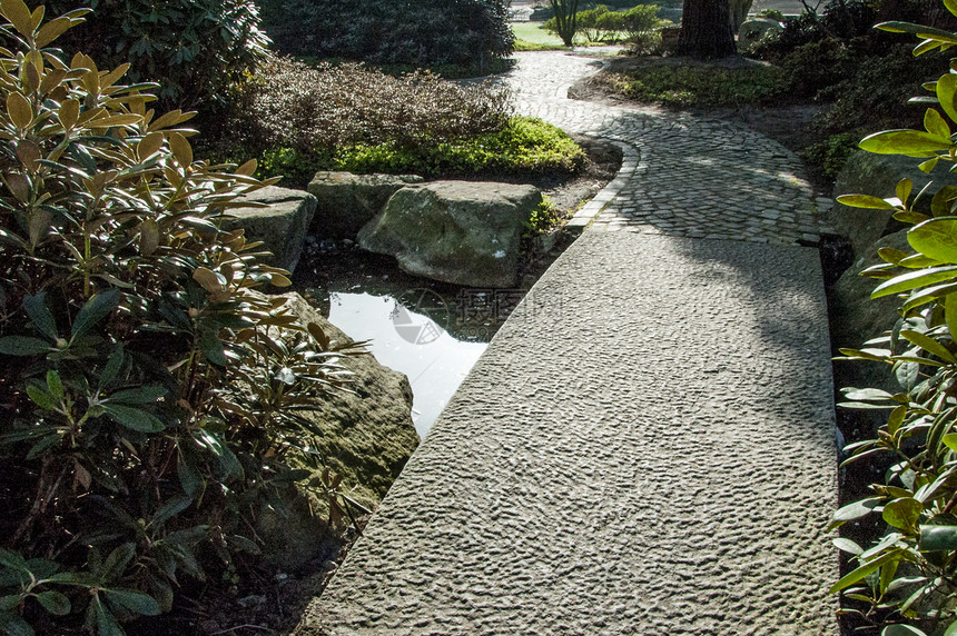 公园的通道娱乐花园晴天灵魂太阳植物园静物植被闲暇热情图片