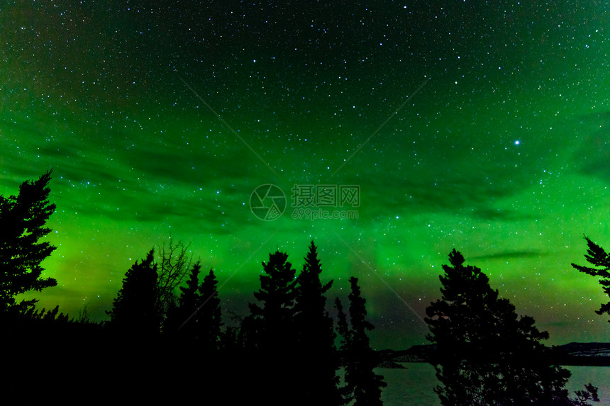 北极光或北极光的绿色光亮极光北极光地区北极星磁性森林天空星星树木天文学图片