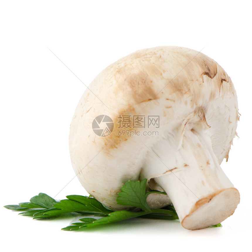 香格里昂蘑菇和树叶叶子美食香菜小吃节食保健宏观蔬菜卫生图片