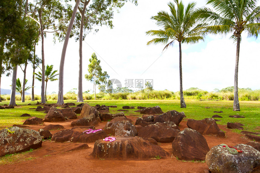 夏威夷土著出生石协会图片