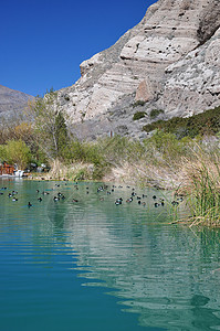 大鸭池圣戈尔戈尼奥高清图片