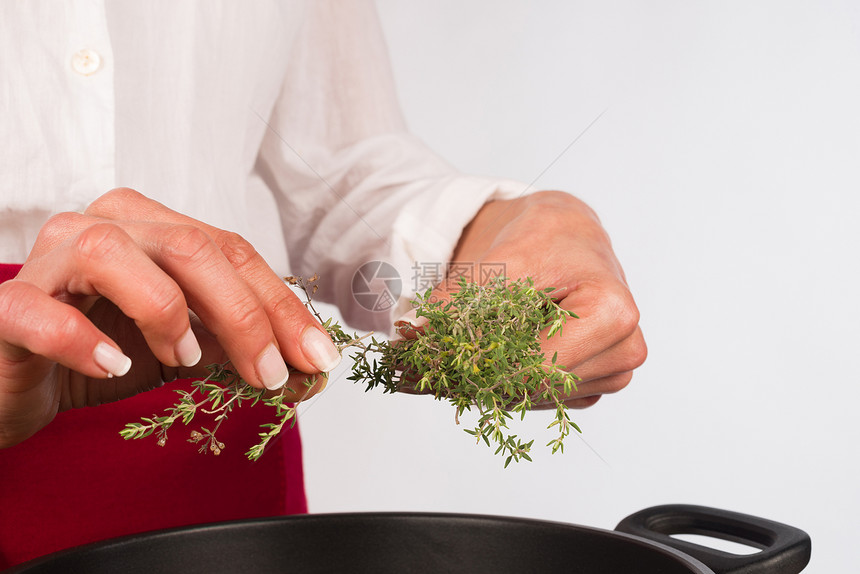 以百孔为季节绿色植物调味品水平味道女性芳香香味烹饪百里香图片