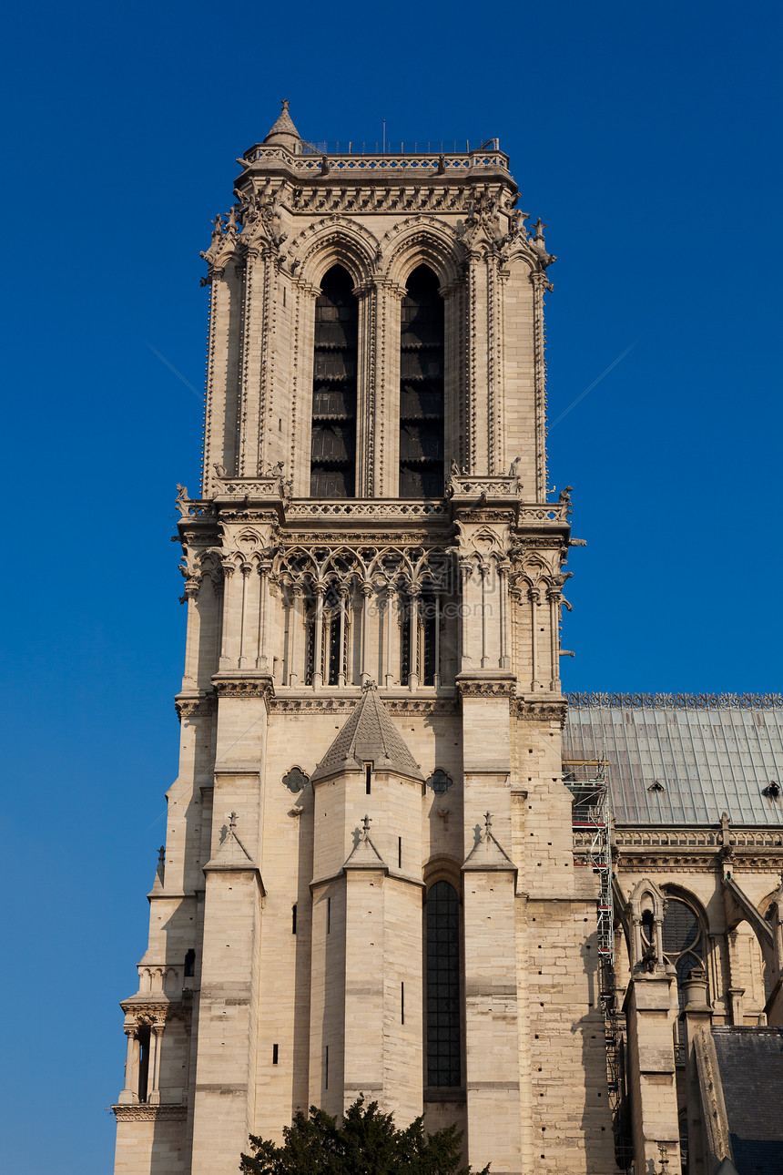 圣母大教堂 巴黎 法国伊尔德法 法国城市历史性旅行宗教晴天拱门历史建筑旅游大教堂图片