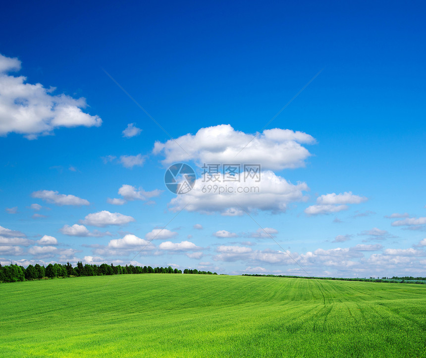 绿绿地场地农场天空晴天天堂生长天气草地远景草原图片