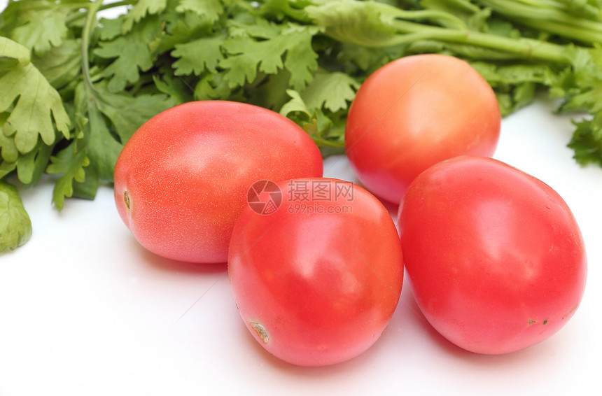 白色背景的椰菜加番茄组 白底蔬菜加番茄组图片
