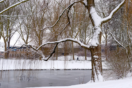 冬季过冬时间冻结池塘自行车支撑公园背景图片