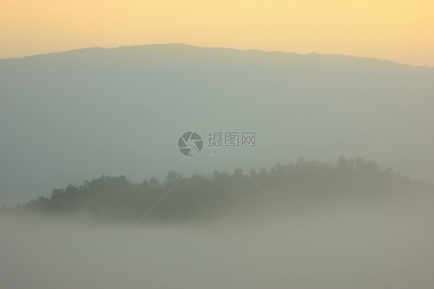 清晨的薄雾中升起 覆盖了清玛形成的松树林图片