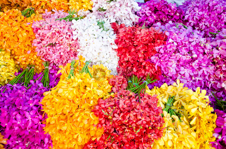 兰花花瓣绿色背景植物植物学橙子花园热带花束黄色图片