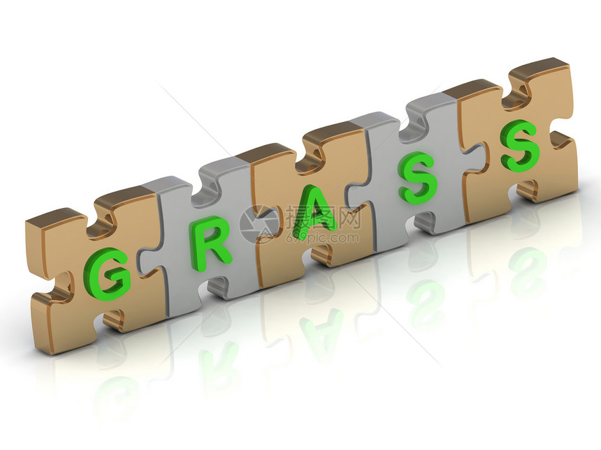 GRASS 金谜题的GRASS 字词图片