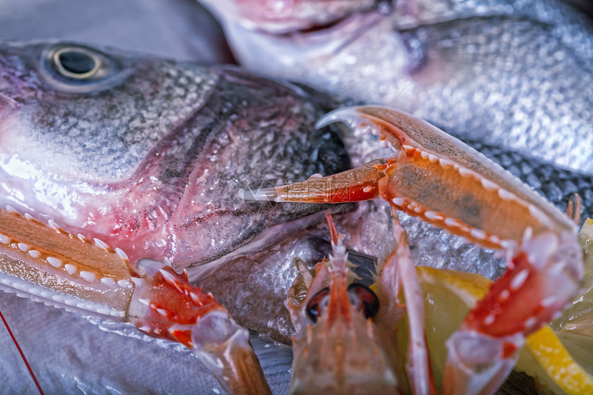 冰上新鲜的亚得里亚海鲜海产食品图片