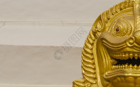 狮子雕像平静金子背景图片