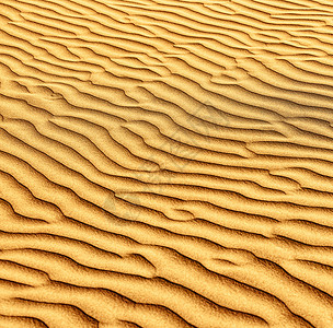 拉贾斯坦邦沙漠沙丘和沙丘的塔尔沙漠土地橙子地形日落沙漠海浪波纹阳光柏油场景背景