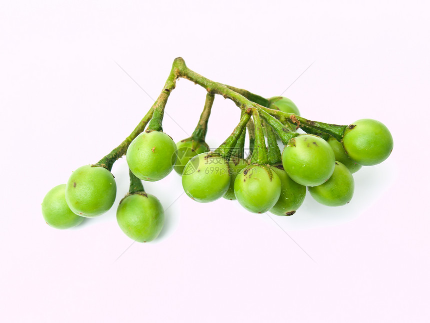 白底孤立的烹饪白色绿色水果圆形荒野食物蔬菜浆果茄子图片