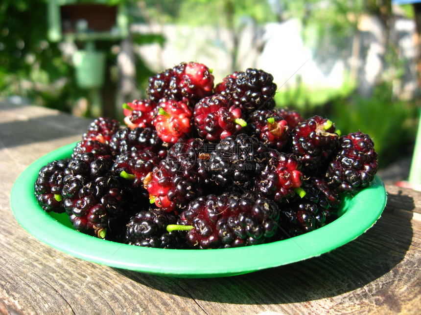 盘子上深熟的黑莓糊莓营养园艺水果叶子食品树枝培育味道农业气候图片