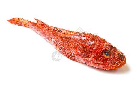 红鱼食物橙子美食烹饪海洋红色牛扒市场生活眼睛高清图片