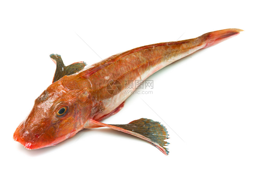红鱼海鲜食物美食眼睛橙子餐厅牛扒生活盘子红色图片