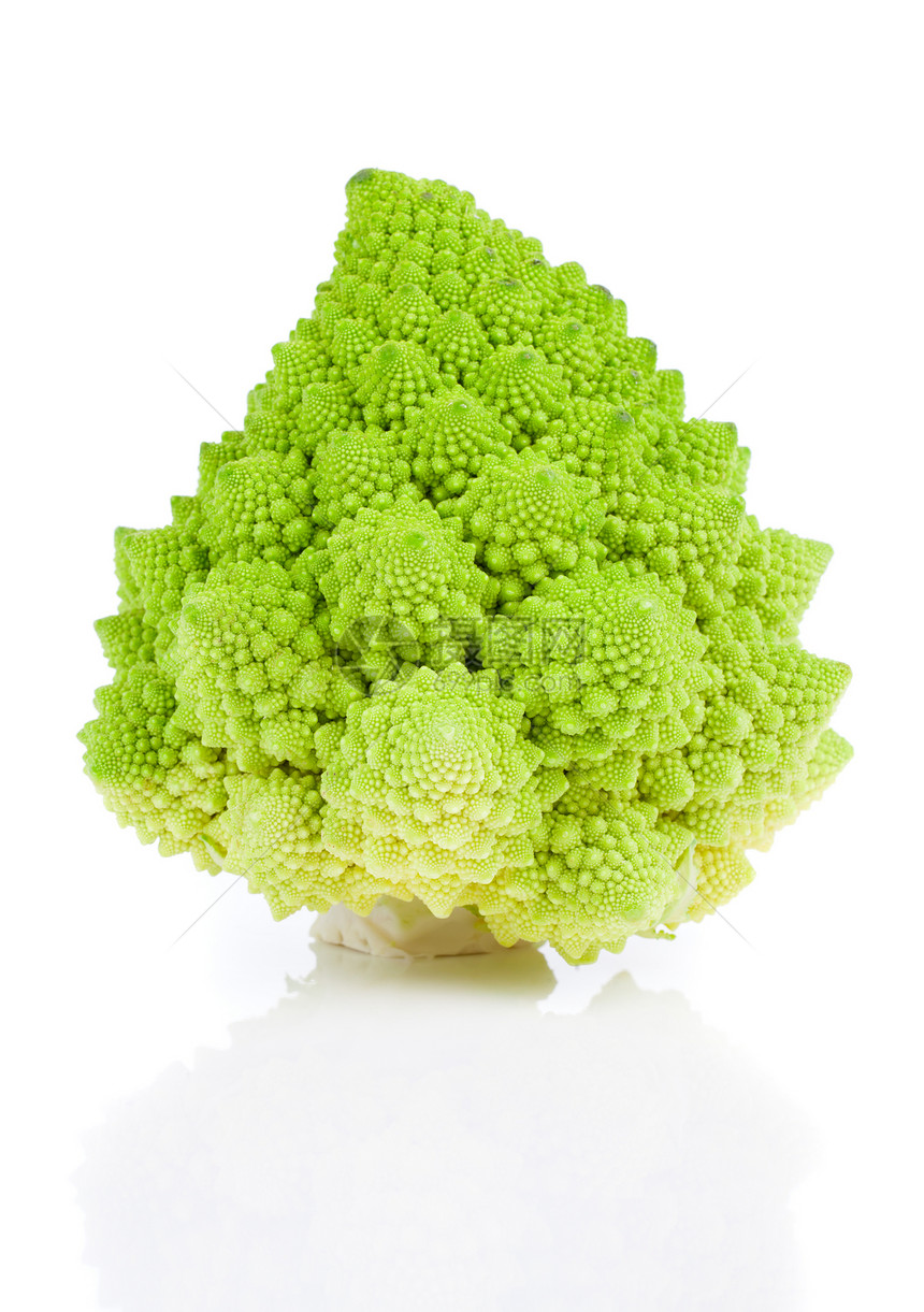罗曼尼斯科花椰菜卷心菜 白种背景孤立产品绿色季节白色菜花食物健康蔬菜植物图片