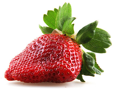 新鲜红草莓树叶浆果食物水果农作物叶子背景图片