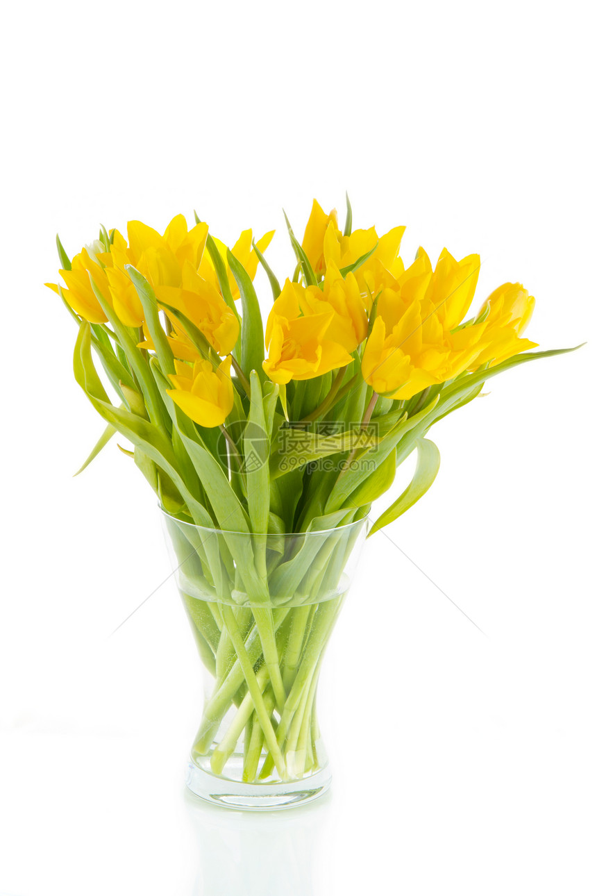 黄色郁金花花瓶反射背景郁金香植物花束浅色图片