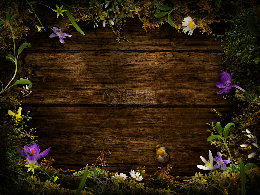 春季设计  花圈花束叶子季节雏菊园艺礼物阳光木头紫色植物图片