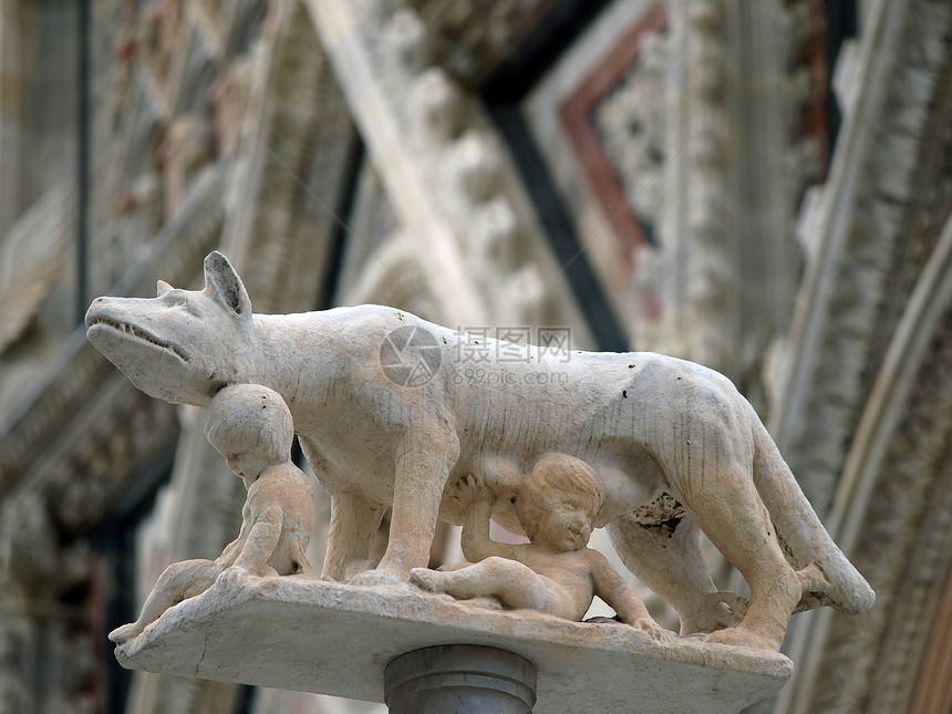 锡耶纳  在杜奥莫外墙前的母狼专栏大教堂柱子大理石艺术窗户传奇石头雕塑雕像旅行图片