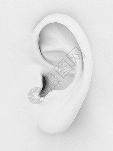 白色耳朵耳3d美丽女士渲染女性女孩间谍音乐身体生物学学习背景