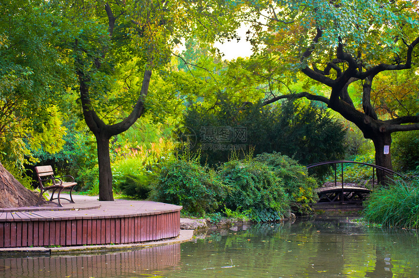 日本花园花园公园池塘绿色图片