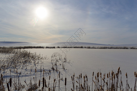 芦苇地背景带Reed的冬季风景自然季节芦苇天空阳光地平线旅行太阳假期日出背景
