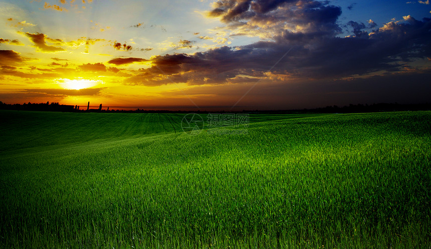 有草草的面积农场生长场景植物云景小麦季节自由风景稻草图片