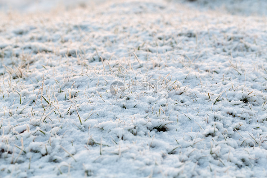 具有雪中干草的抽象自然背景图片