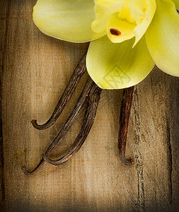 木本背景的香草和花豆荚木头烹饪味道疗法异国美食香气食物香水背景图片