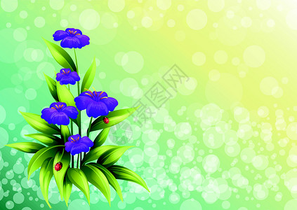 一个有紫花花的植物甲虫花朵花瓣卡片装饰空白风格横幅美化屏幕背景图片