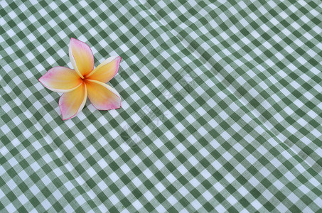 花朵在绿布上背景图片