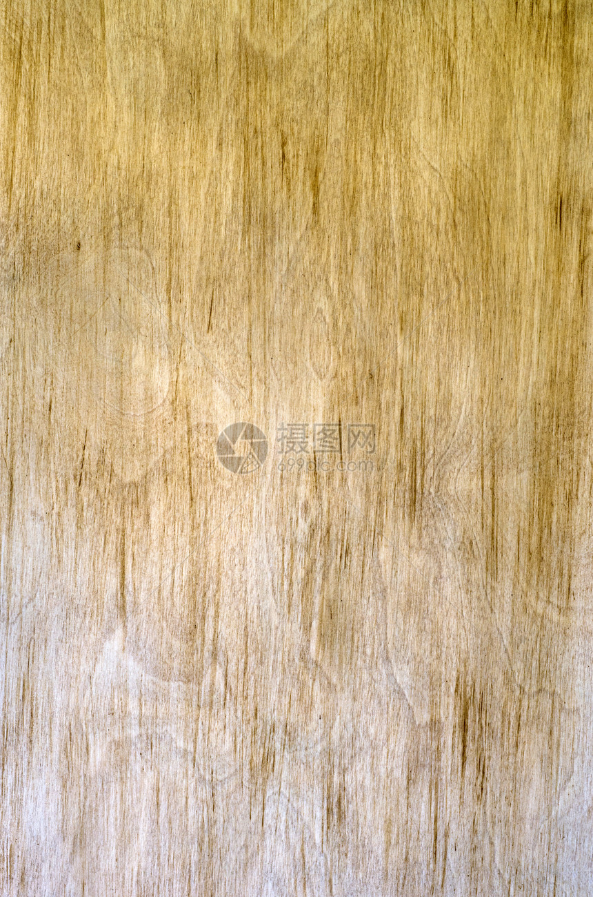 树木背景背景宏观控制板木材材料棕色桌子木工硬木样本木头图片