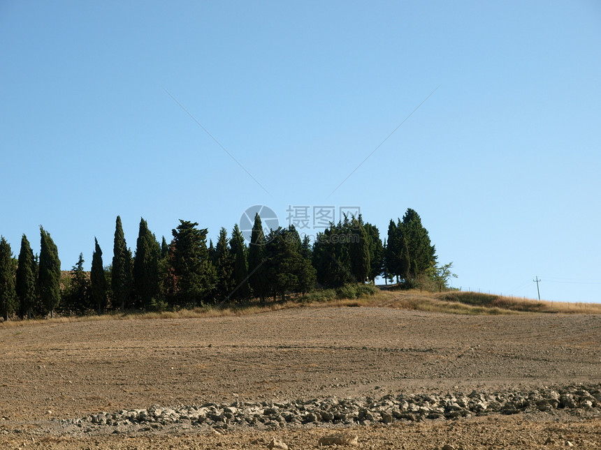 托斯卡纳 圣吉米尼那诺周围的风景农田村庄场景叶子场地树木牧歌画报自由农村图片