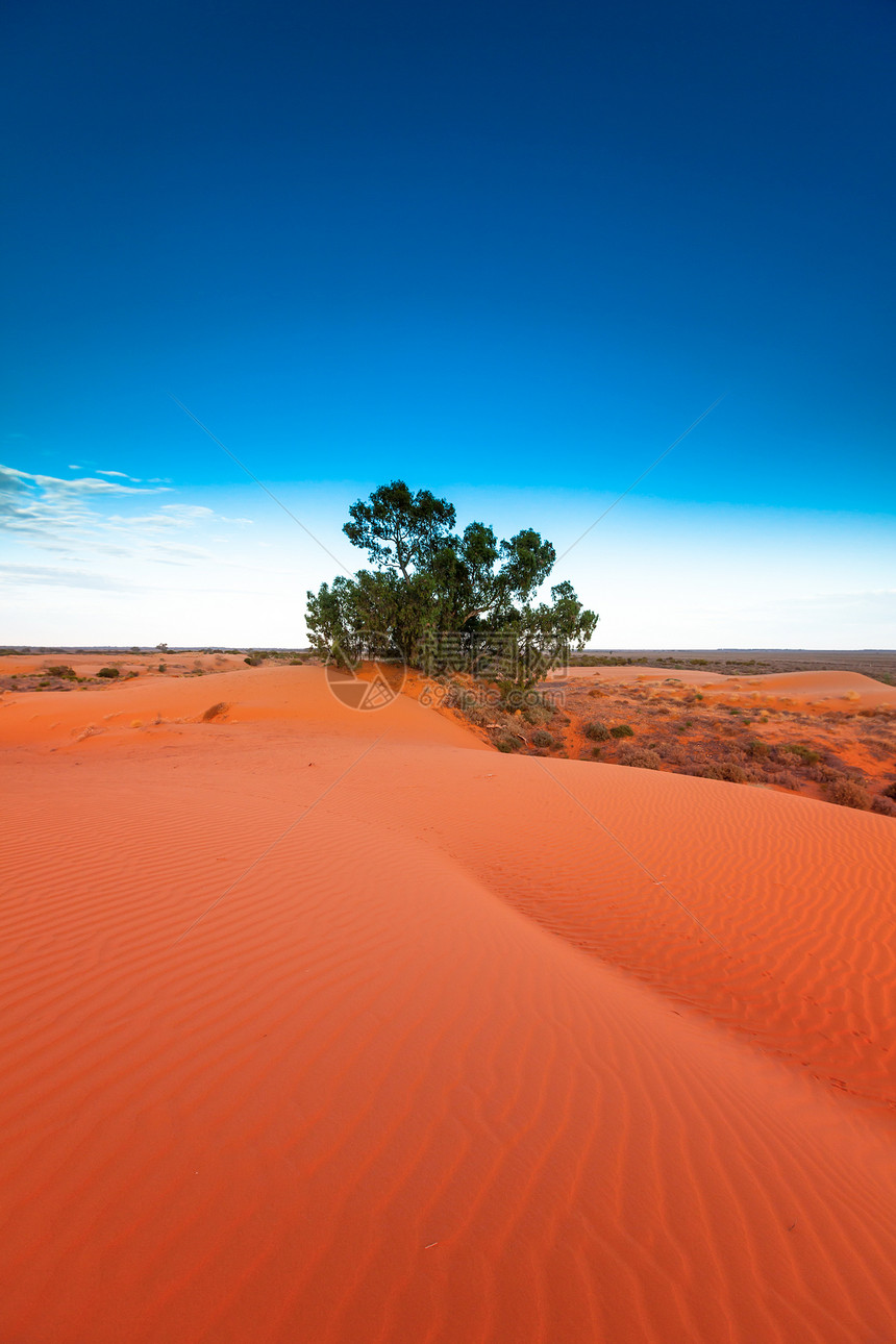红沙丘 有波纹和蓝色天空曲目国家风景场景日落崎岖红色荒野乡村图片