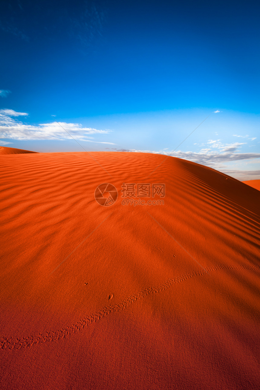 红沙丘中的动物足迹蓝色乡村国家红色波纹崎岖荒野天空场景曲目图片